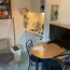  Annonces JOUE LES TOURS : Appartement | TOURS (37100) | 20 m2 | 430 € 